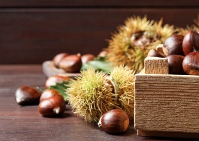 Castañas: Precios a la baja para todos los calibres en Italia