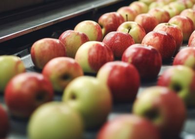 Manzana industrial: Los precios en moldavia siguen bajando y se acercan al nivel de Ucrania