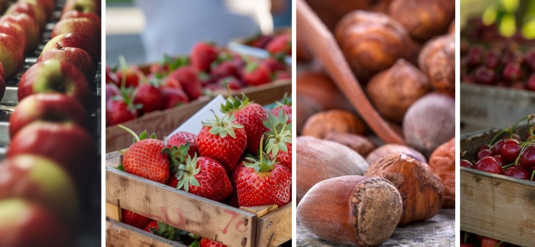 Turquía: Segunda actualización de estimación de producción para 2025/26 confirma caída del 30% en las frutas