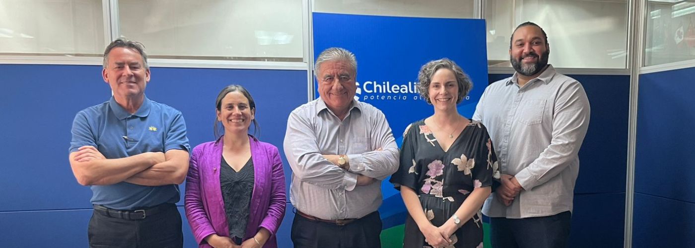 Diseño sin título – 2025-10-29T140641.448