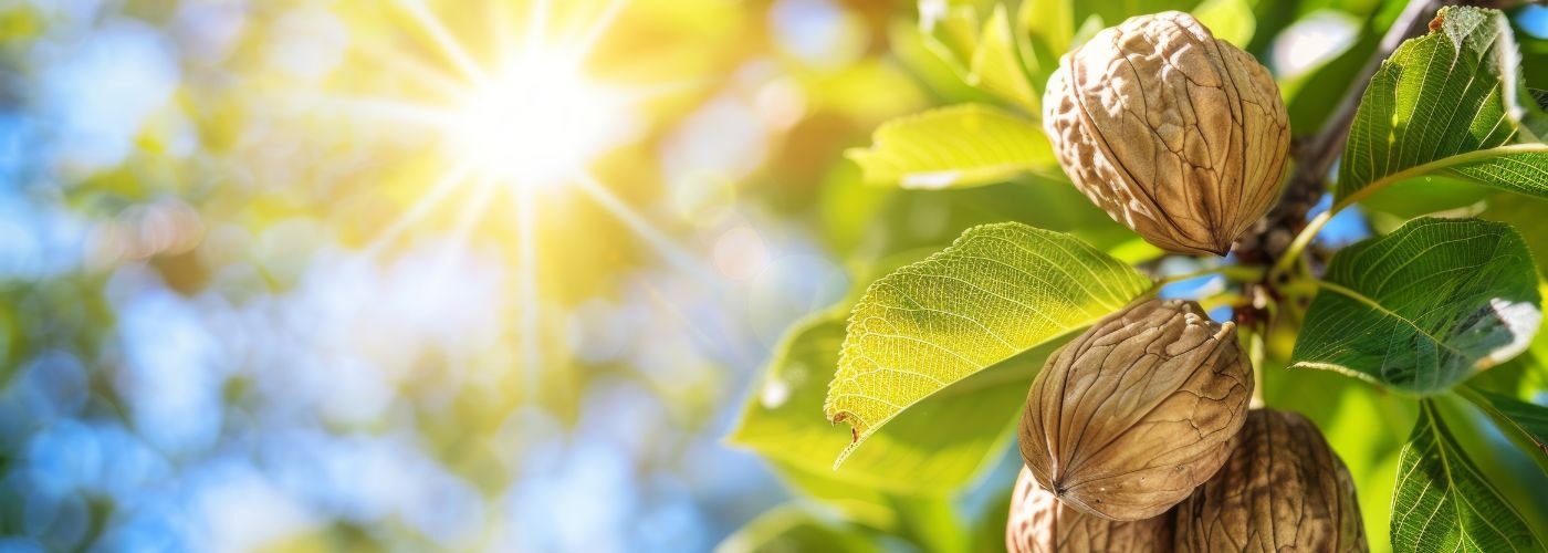 Diseño sin título – 2025-10-29T141735.582