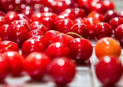 Cerezas/Ucrania: Pérdidas récord en cosechas dispararon precios durante la última temporada y se mantiene el potencial para procesamiento