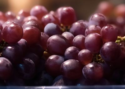 Uva de mesa/Perú: Proyectan que las exportaciones alcancen 760 mil toneladas en 2025