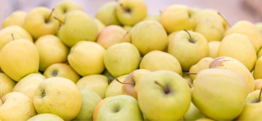 Manzanas/Francia: Cosecha 2025/26 crecerá 4% más que la temporada anterior