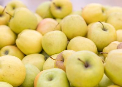 Manzanas/Francia: Cosecha 2025/26 crecerá 4% más que la temporada anterior