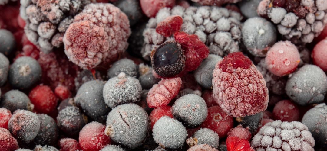 Berries/Chile: Valor y volumen de los envíos de congelados superan a los frescos a Septiembre 2025