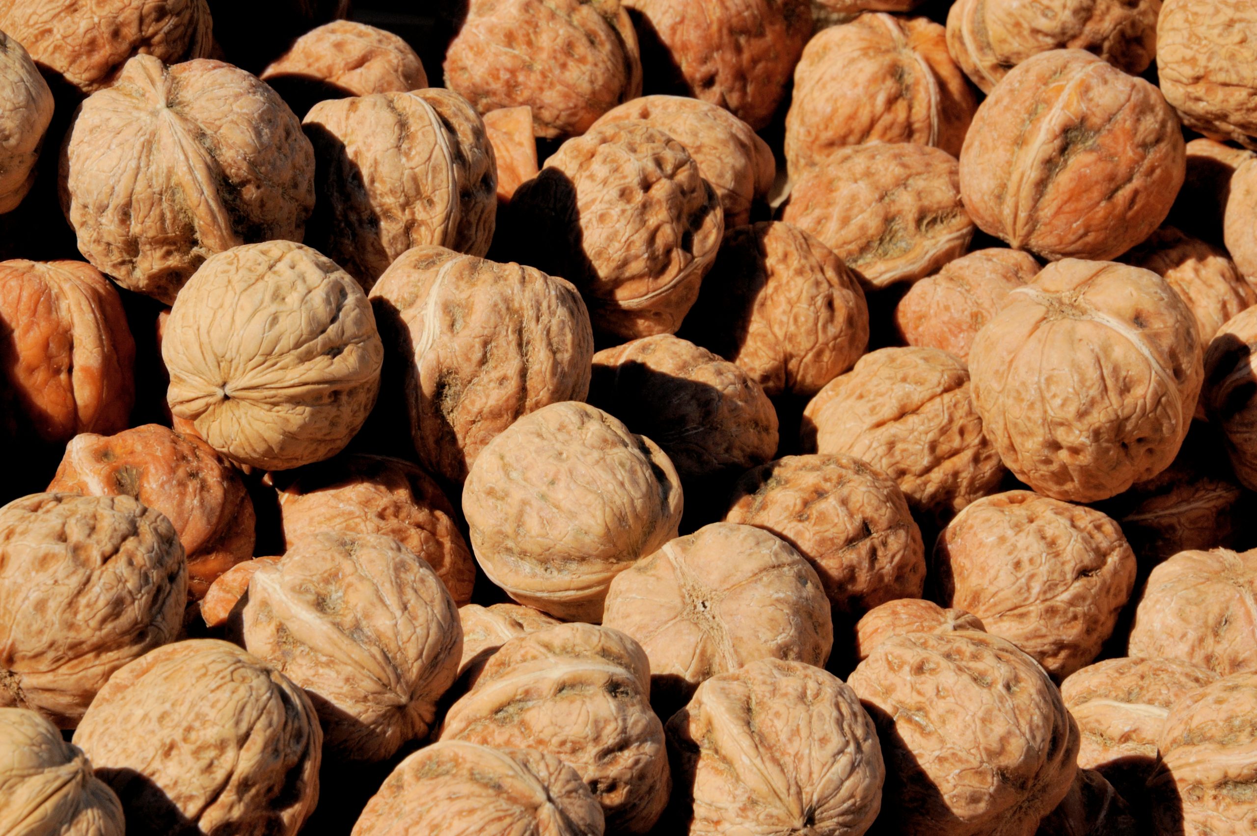 a pack of walnuts