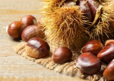 Castañas/Italia: cosecha 2025 se estima alcanzará 55 mil toneladas