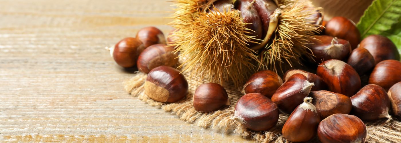 Diseño sin título (16)