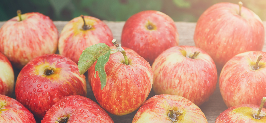 Turquía: La producción de manzanas se reduce a la mitad debido al cambio climático