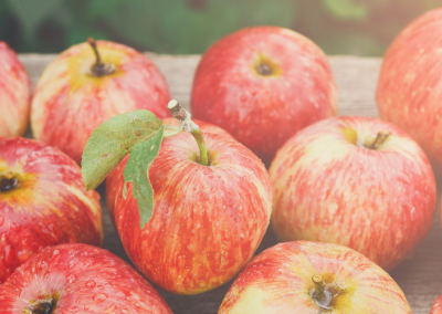 Turquía: La producción de manzanas se reduce a la mitad debido al cambio climático