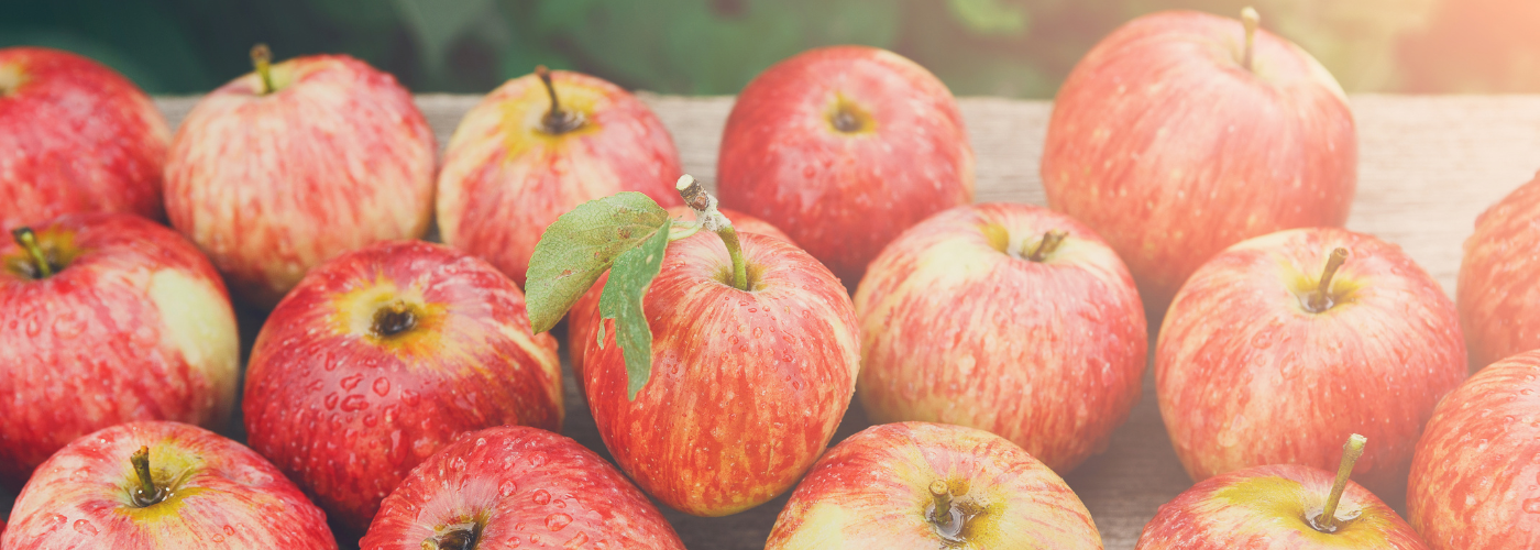 Diseño sin título (17)