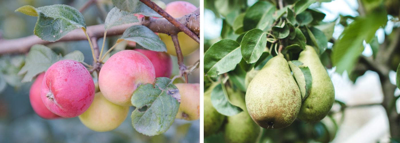 Diseño sin título – 2025-11-06T092516.426