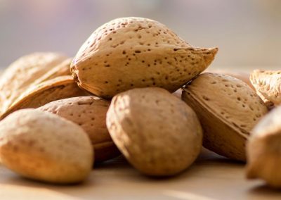 Almendras/España: Comienzan los envíos 2025/26 con un fuerte aumento del 64% en volumen