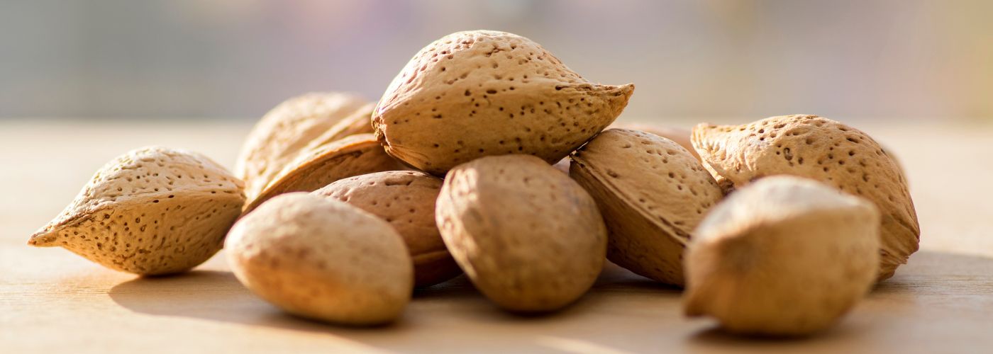 Diseño sin título – 2025-11-07T155849.372