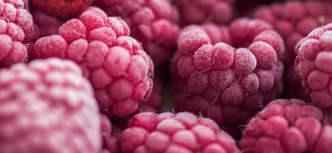 Frambuesa Congelada/Ucrania: A pesar de caída en cosecha se mantiene por segundo año consecutivo como principal exportador mundial
