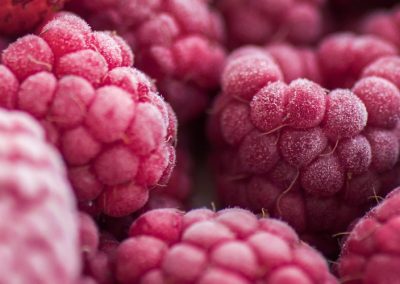 Frambuesa Congelada/Ucrania: A pesar de caída en cosecha se mantiene por segundo año consecutivo como principal exportador mundial