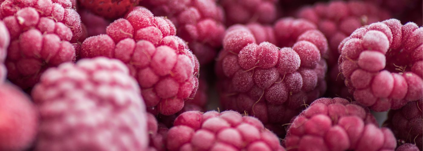 Diseño sin título – 2025-11-07T162444.424