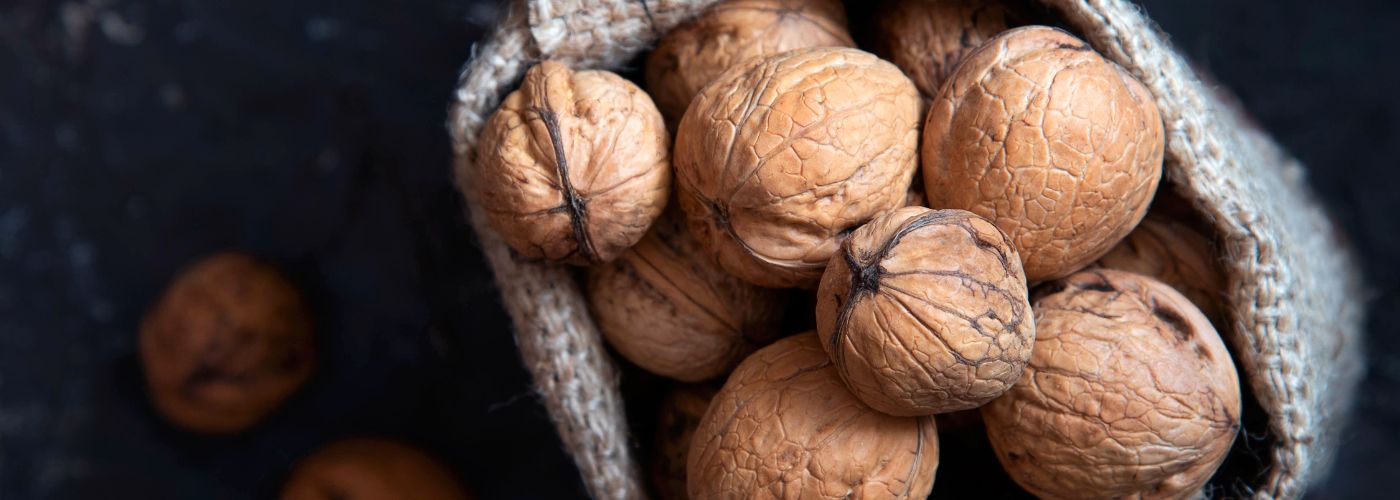 Diseño sin título – 2025-11-07T175826.283