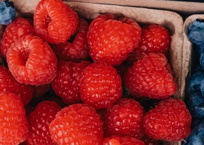 Australia: Prohíben aplicar el insecticida dimetoato en arándanos, moras y frambuesas