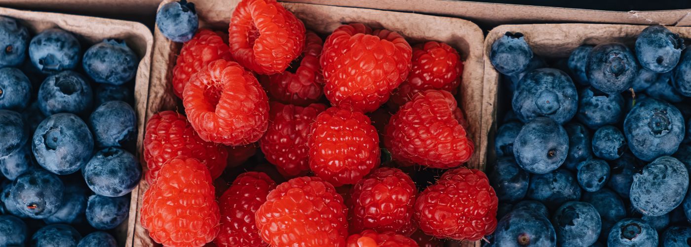 Diseño sin título – 2025-11-12T153901.486