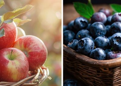 EE.UU/Maine: Sequía provoca millonarios daños en cosechas de arándanos y manzanas