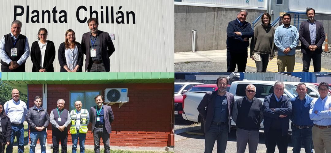 Chilealimentos comienza auditorías intermedias a plantas agroindustriales participantes del APL V