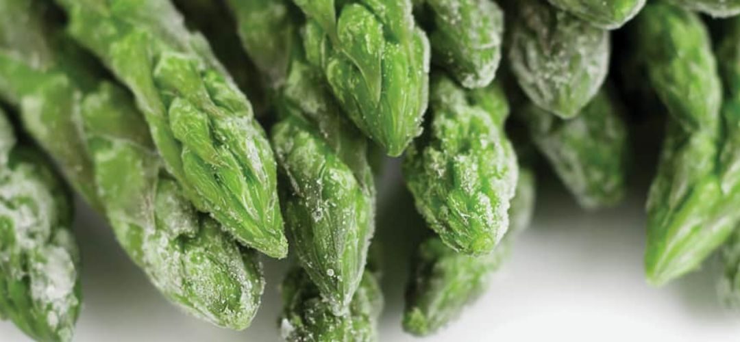 Perú/Espárragos Congelados: Envíos acumulados a Agosto 2025 disminuyen 5% en valor y 4% en volumen