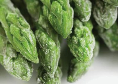 Perú/Espárragos Congelados: Envíos acumulados a Agosto 2025 disminuyen 5% en valor y 4% en volumen