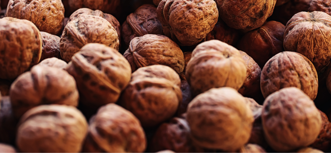 Nueces/Unión Europea: Agricultores presentan enmienda contra el arancel 0% a los frutos secos de EE. UU.