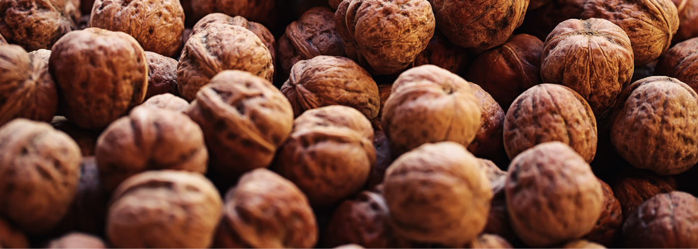 Diseño sin título (8)