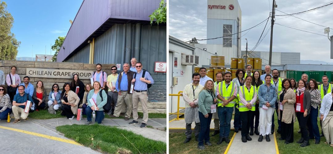 Diana Food y Empresas Lourdes presentan avances en Debida Diligencia y APL ante delegación internacional encabezada por la OCDE