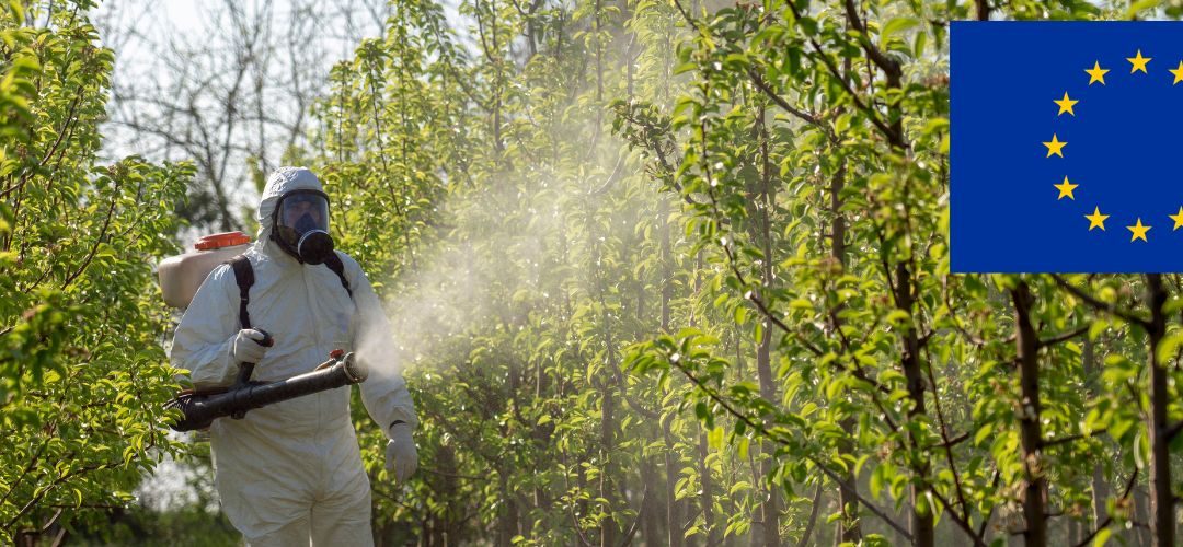 Unión Europea: proponen MRL por defecto para plaguicidas principalmente en frutos secos y frutas deshidratadas