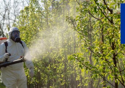 Unión Europea: proponen MRL por defecto para plaguicidas principalmente en frutos secos y frutas deshidratadas