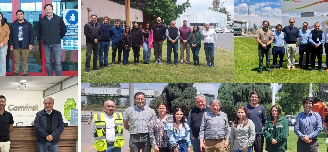 APL V Chilealimentos: 19 plantas agroindustriales han cumplido satisfactoriamente su auditoría intermedia 2