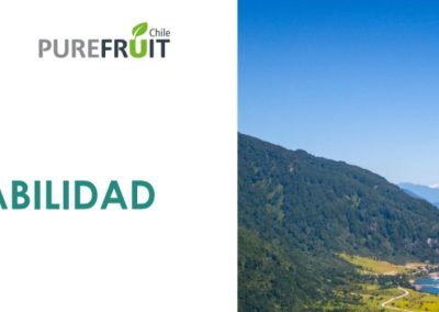 Agroindustrial Surfrut presenta reporte con sus principales hitos de Sustentabilidad