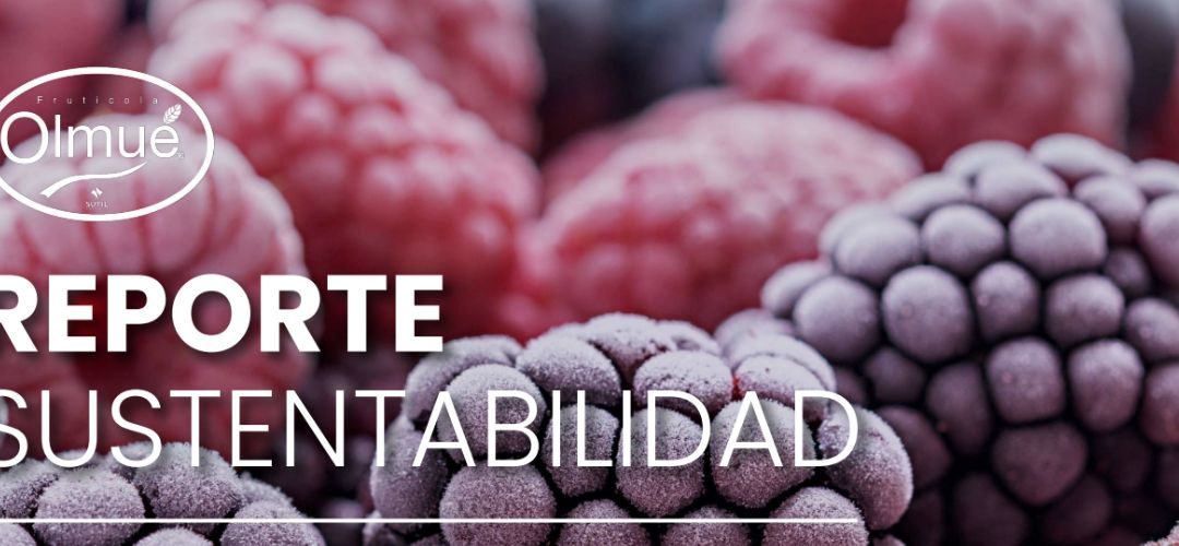 Frutícola Olmué presenta sus avances en materias de sustentabilidad