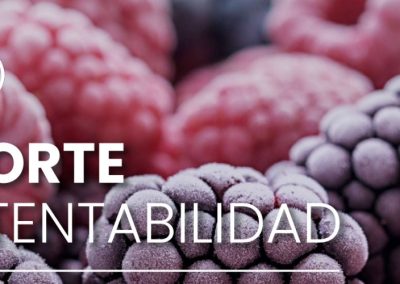 Frutícola Olmué presenta sus avances en materias de sustentabilidad