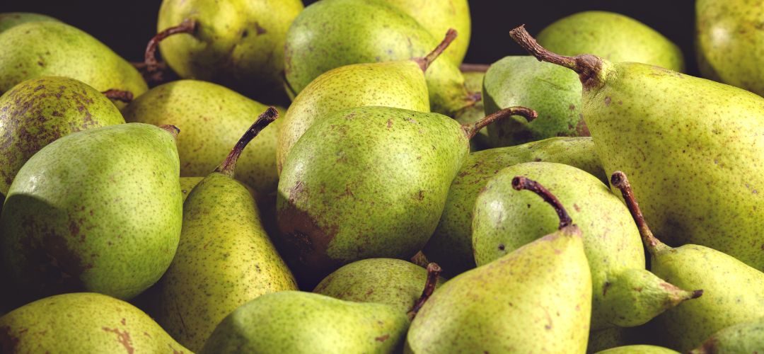 Peras/EE.UU: Cosecha del Noreste Pacífico finalizó con un crecimiento del 78% respecto al año comercial anterior