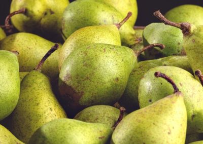 Peras/EE.UU: Cosecha del Noreste Pacífico finalizó con un crecimiento del 78% respecto al año comercial anterior