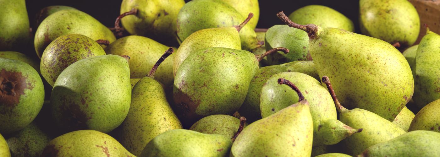 Diseño sin título – 2025-12-03T172908.684