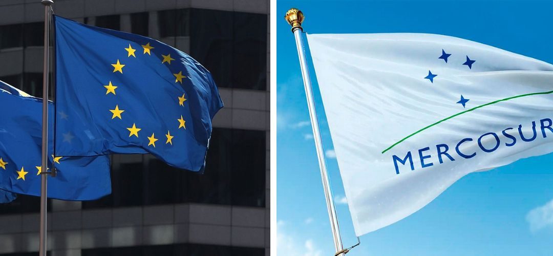 Polonia y Francia buscan alianzas con otros países europeos para bloquear acuerdo Mercosur – UE