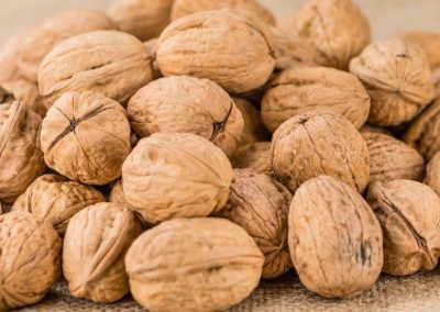 EE.UU: Exportaciones a noviembre muestran un crecimiento de 30% para nueces con cáscara, mientras las sin cáscara disminuyeron 2%