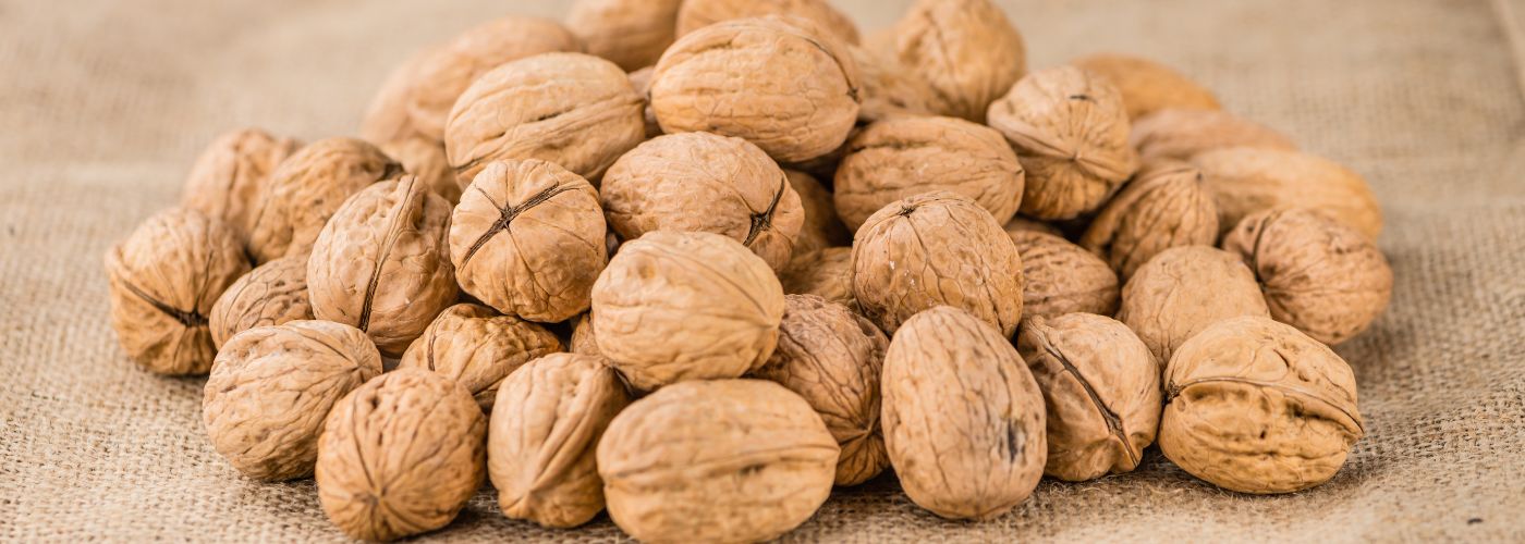 Diseño sin título – 2025-12-10T160159.700