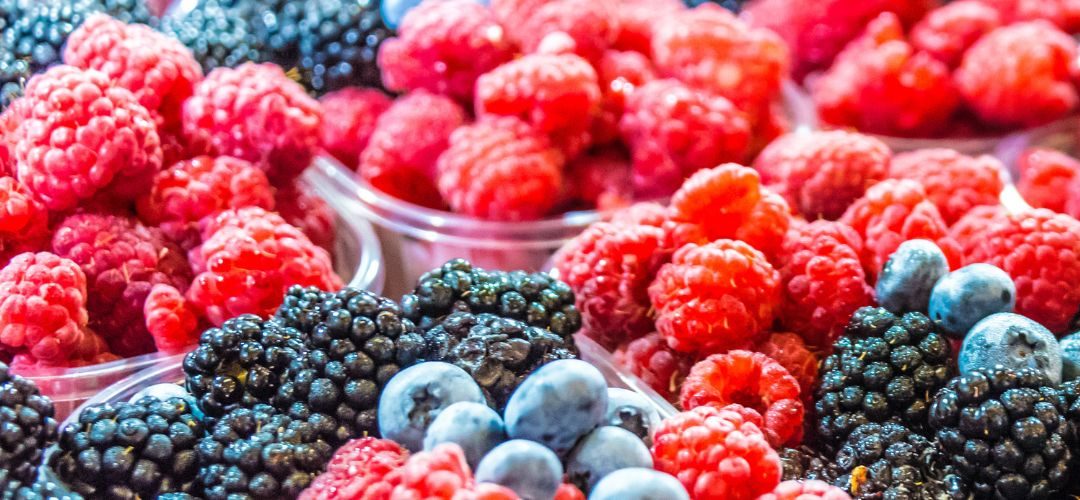 Berries/Huelva: Proyectan que la superficie alcanzará las 12.388 hectáreas, incrementándose 1% respecto a 2024/25