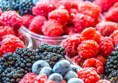 Berries/Huelva: Proyectan que la superficie alcanzará las 12.388 hectáreas, incrementándose 1% respecto a 2024/25