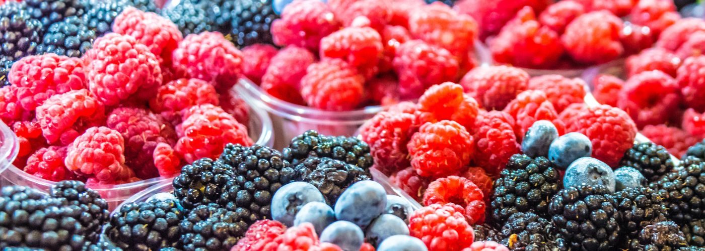 Diseño sin título – 2025-12-12T160717.125