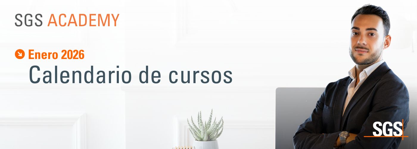 Diseño sin título – 2025-12-12T164413.189