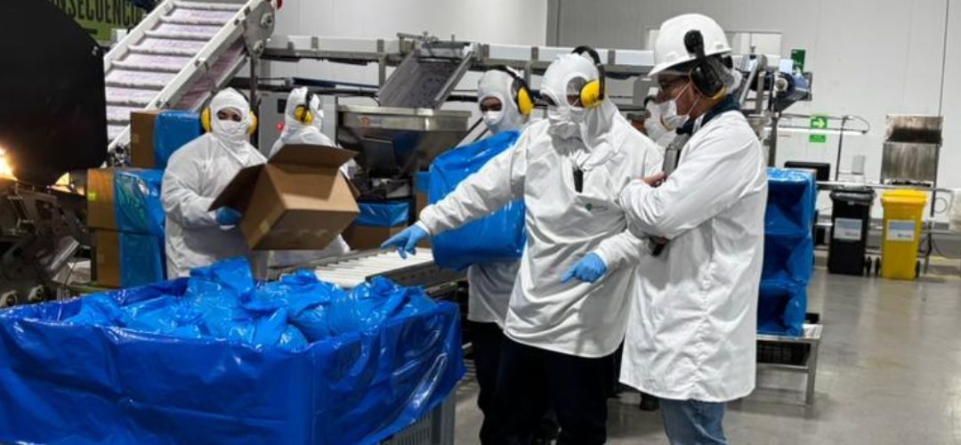 Competencias Laborales: 30 trabajadores de Comfrut finalizaron proceso de evaluaciones en la planta de Curicó con Chilealimentos