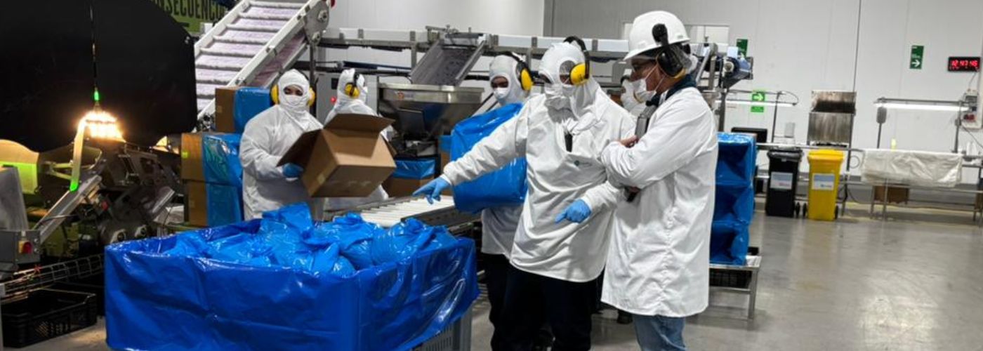 Diseño sin título – 2025-12-17T125724.085